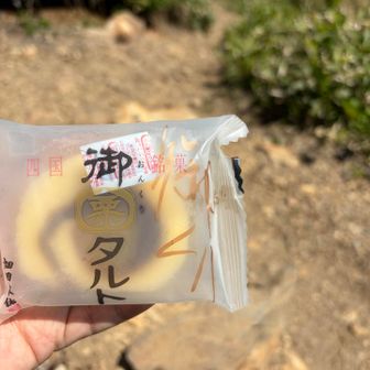 本日のおやつは愛媛のおんくりタルト
うま〜😋