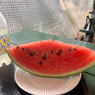 暑さで乾いた身体に合戦小屋のスイカがしみます🍉😋