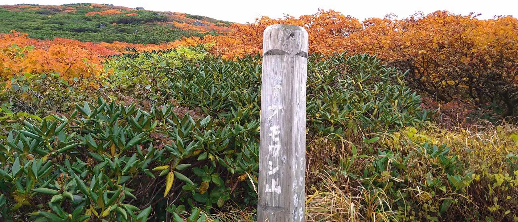 オモワシ山の写真