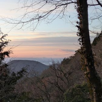 南の空
名古屋駅ビル群