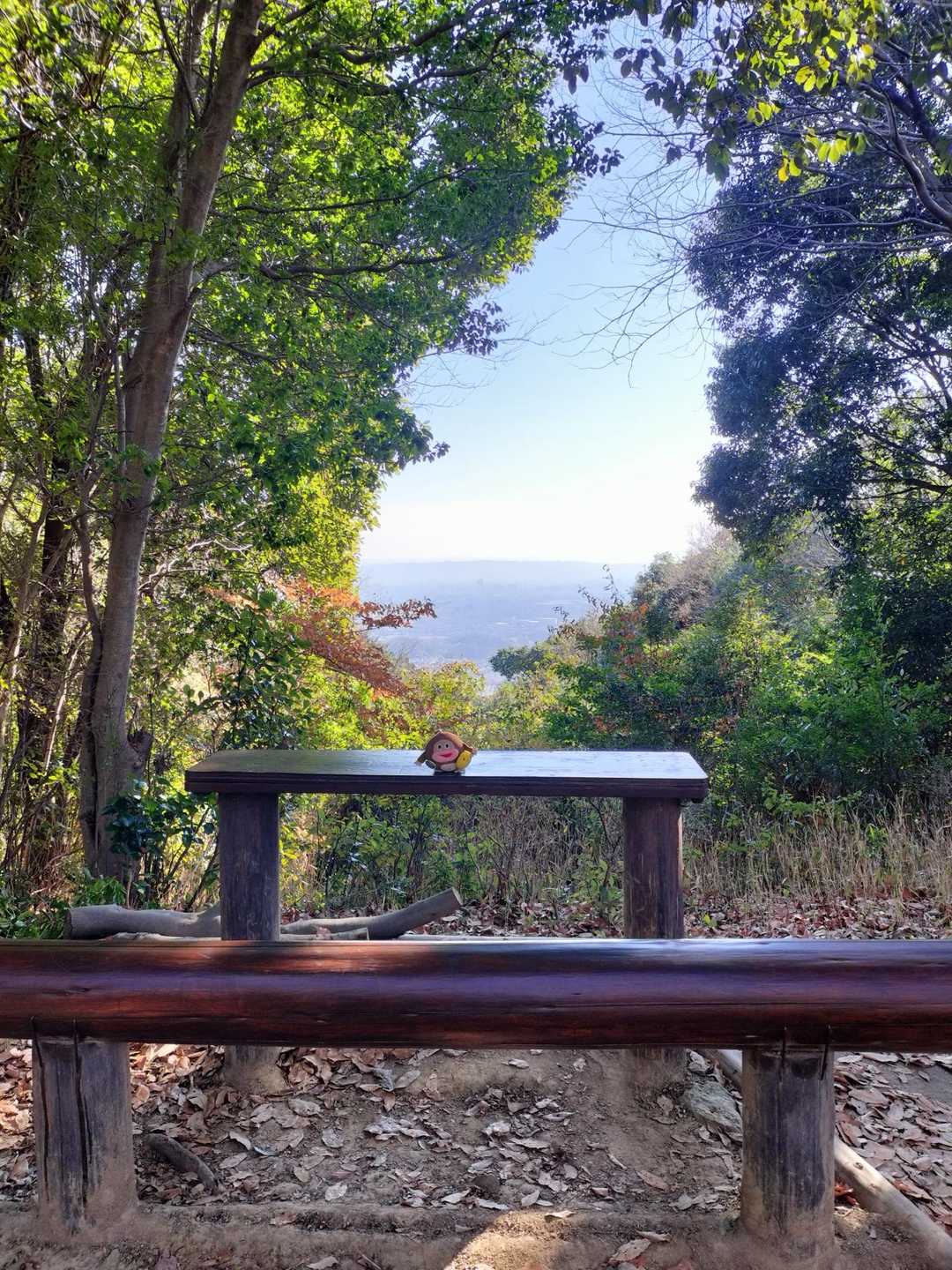 サク山くん、いいねー👍