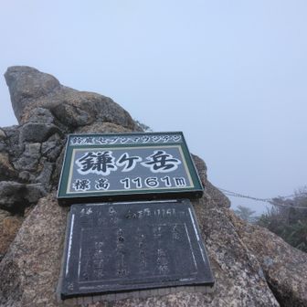 ガスで眺望無し
山頂祠でお参りしたおかげでヒヨドリ助かったとかってに思っております