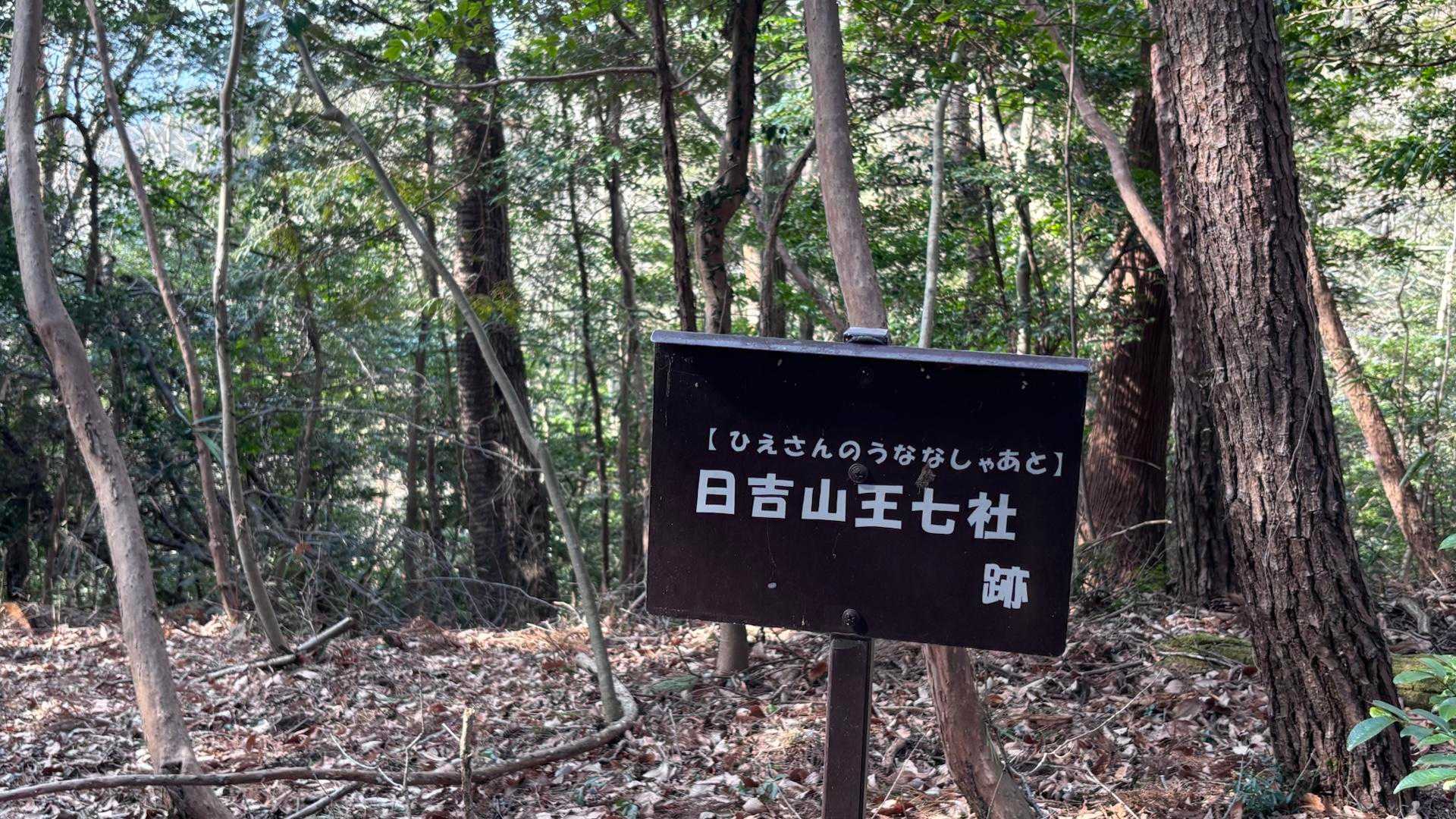 あったんですね
