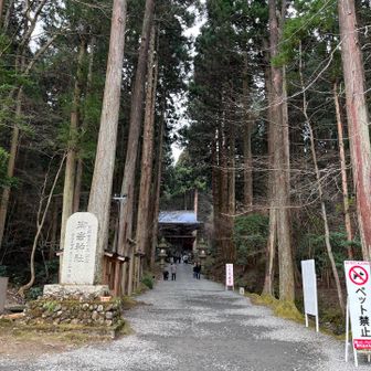 杉に囲まれた参道はしっとりとした雰囲気で、自然と静かな敬虔な気持ちになります
時間の流れがゆっくり進みます