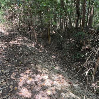 出てきたところを、振り返って確認。
角度的に入口だとは気付かんねー😅
お須原山からだと、写真左上から来て、鋭角に曲がって写真中央奥へ行って、また鋭角に右折です。ジグザグ😭