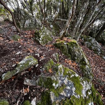 ここからしばらく岩尾根が