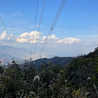 定点観測

黄砂の影響か、若干黄色く見えます🟡