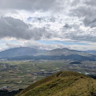 やばい。最高すぎる。
