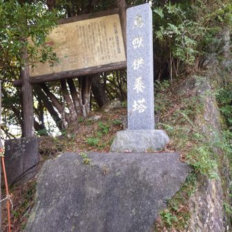 ここの右側が登山道入口でうｓ
