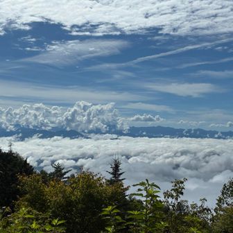 山頂小屋からは南アルプスが見えるはずだけど、真ん中より左に光岳も上河内岳も聖岳もあって、今日はみんな雲の中
伊那谷も雲海の下で見ること叶わず