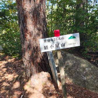 経小屋山
日頃のサボりのせいで
足が攣り攣り
イタタタ