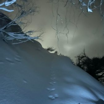 ❄️は止んで
山頂へ向かいます
🐇が先行してます😃