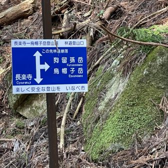 駐車場から林道を1キロ歩いて登山口に到着
