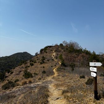 大好きなトンガリ山への道😄