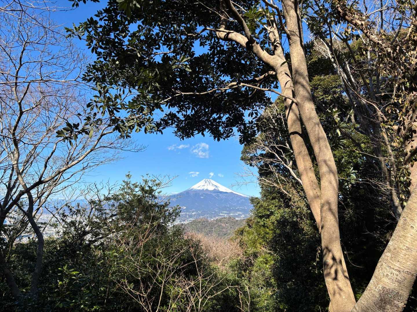 ずっと快晴！
香貫山着くまで晴れててね