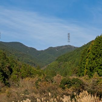 昭和の森から今しがた登ってきた２つの山を振り返ります