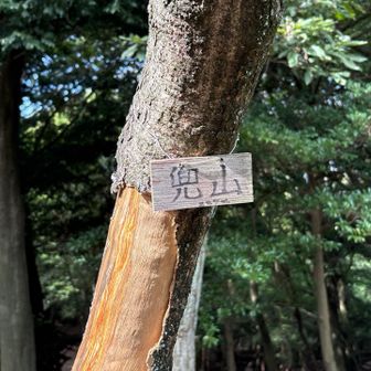 5ヶ月ぶりの兜山⛰️
またまた軌跡繋がりました✌️😊