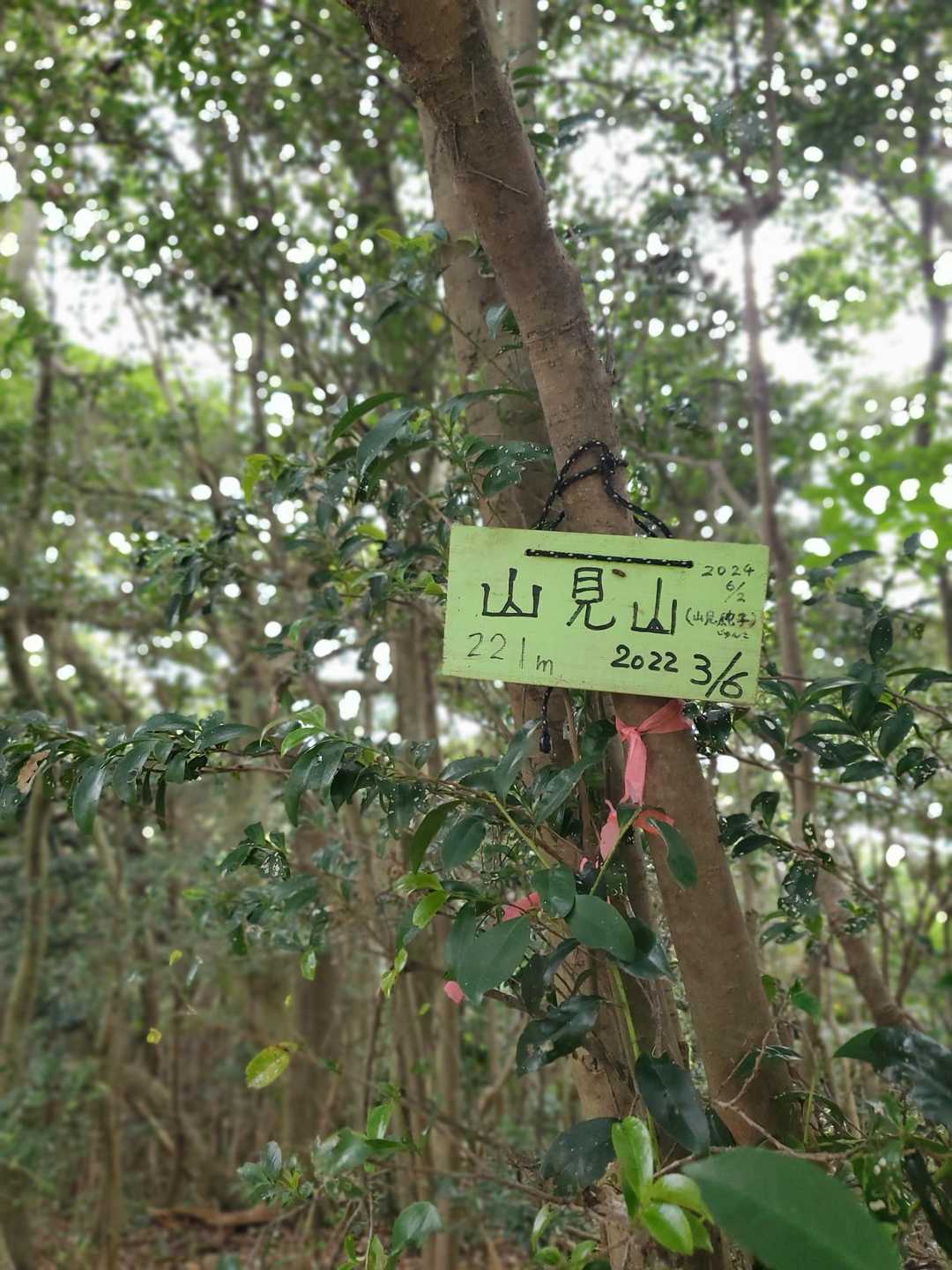 山見山🙌