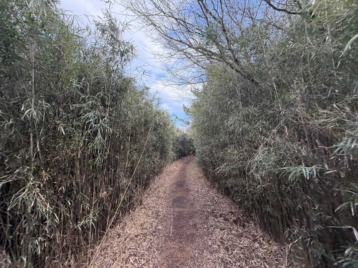 ずっと歩きやすかったです👌