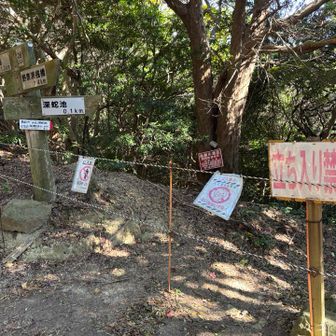 ですが、立ち入り禁止で行けません🚧