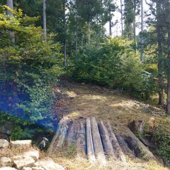 登山道を探すが見つからない