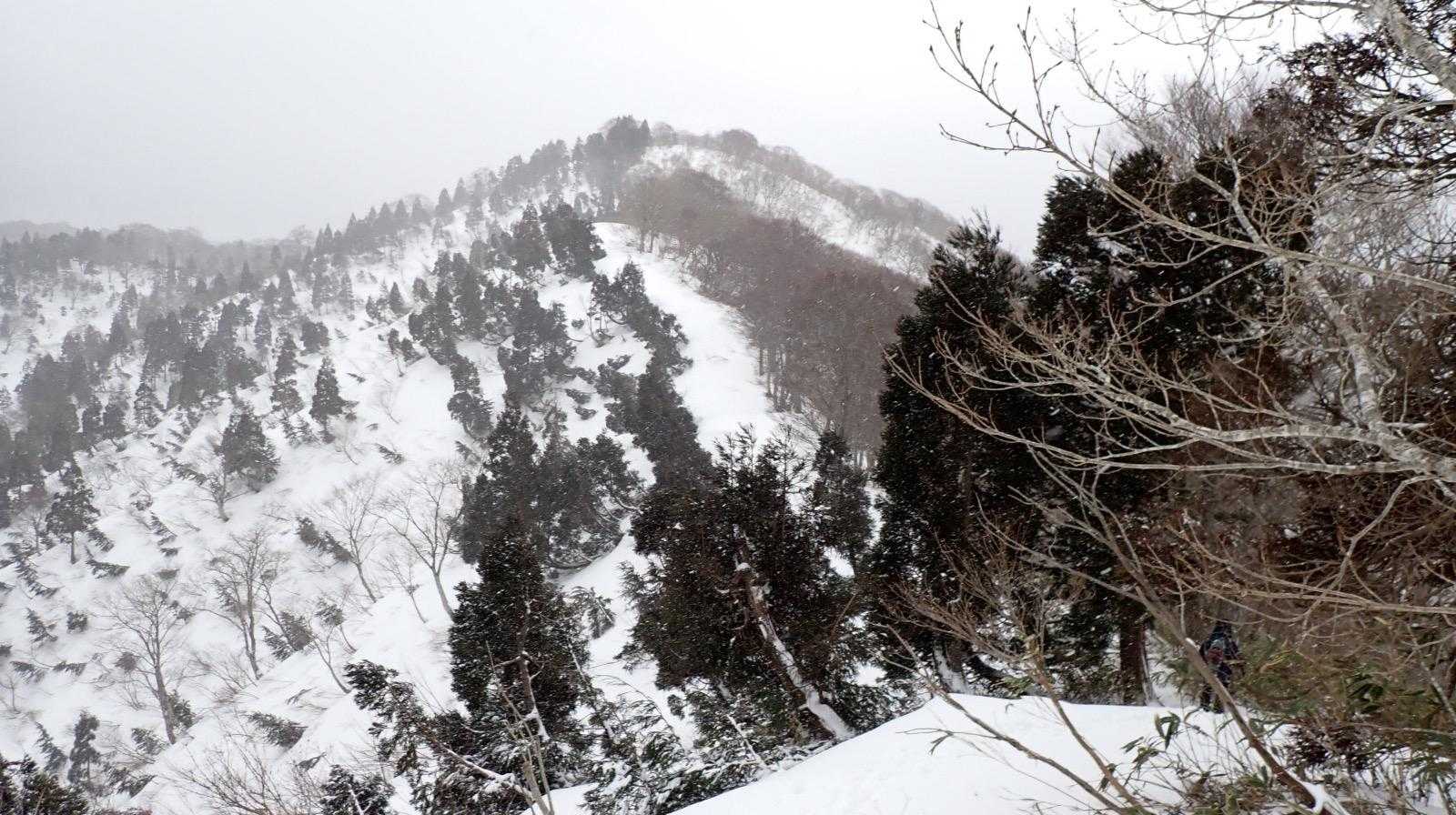 金糞岳を振り返る