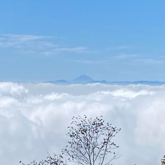 長七郎山頂から雲海の向こうに富士山
先週は秦野の大山から見れなかったので、やっぱり天気は大事と実感