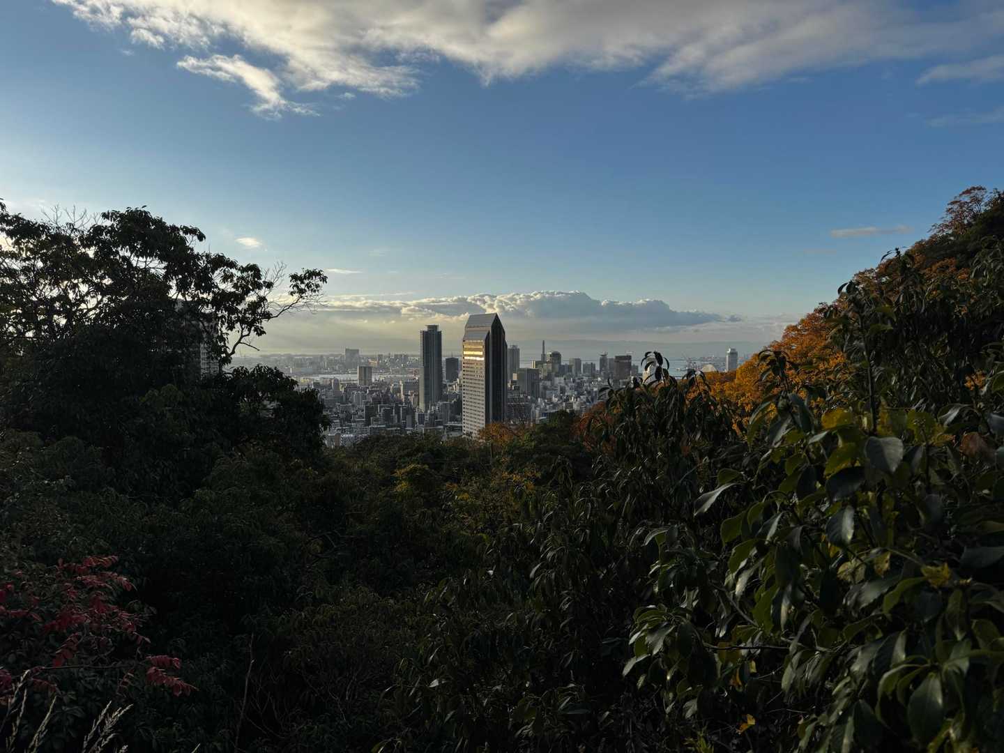 新神戸駅-滝山城跡登山口-摩耶山青谷道登山口 縦走コースの写真