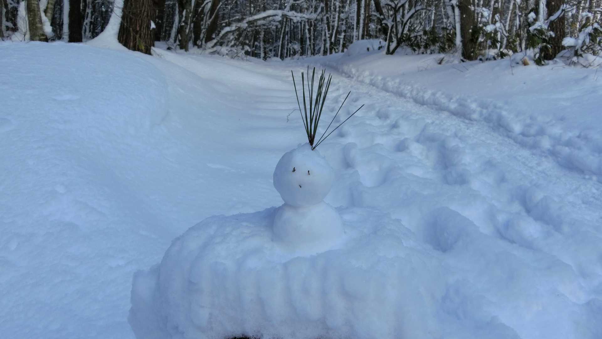 おや？フクロウさんの上に⛄があった！