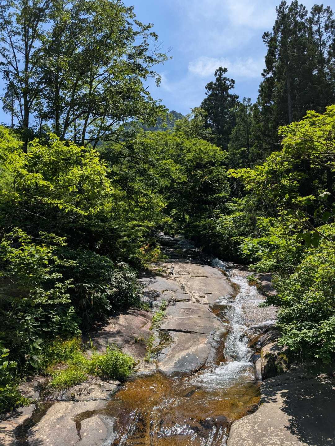 この辺りだけは涼しい風が。