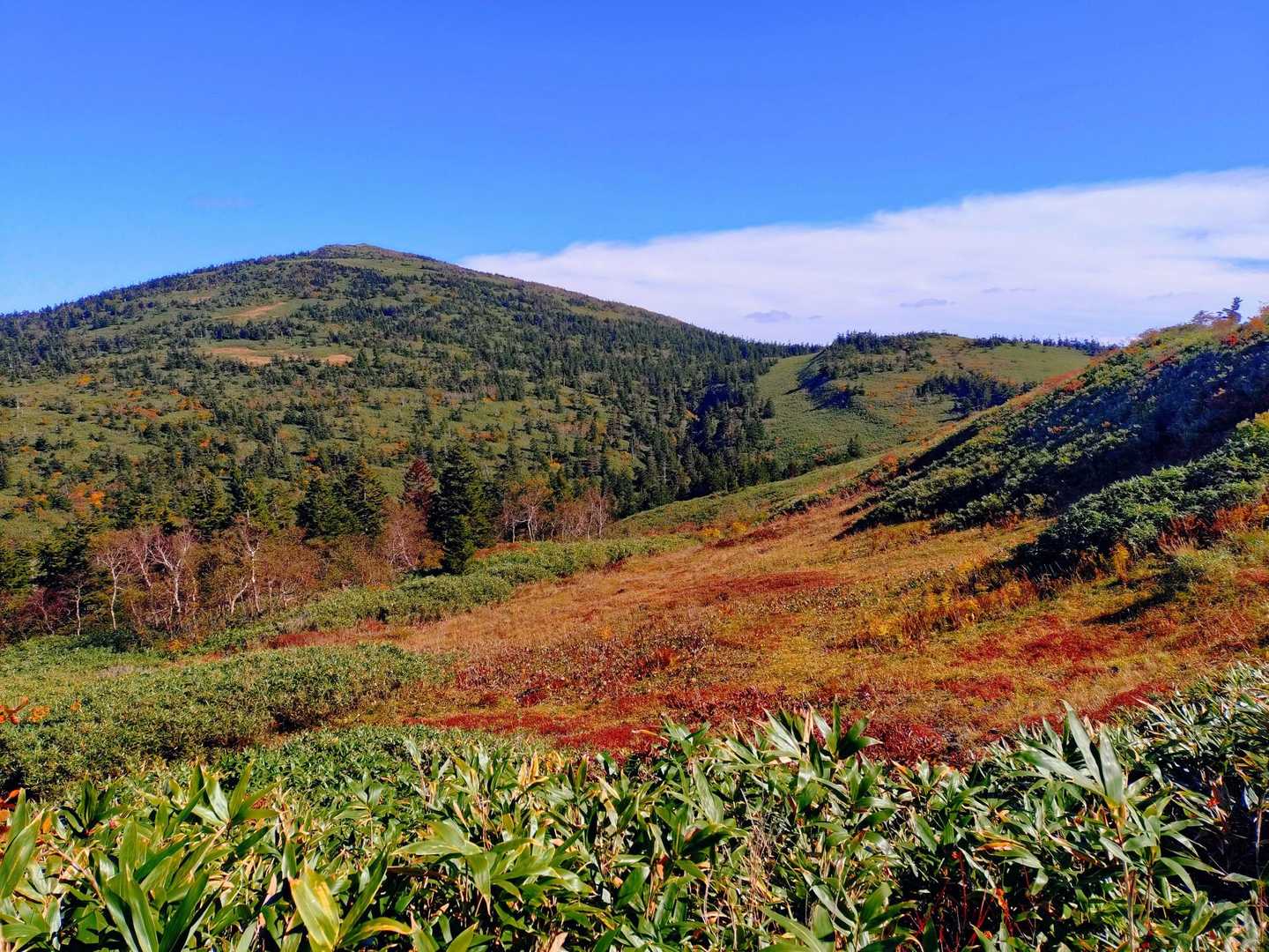 森吉山の山頂がすっかり見える😊