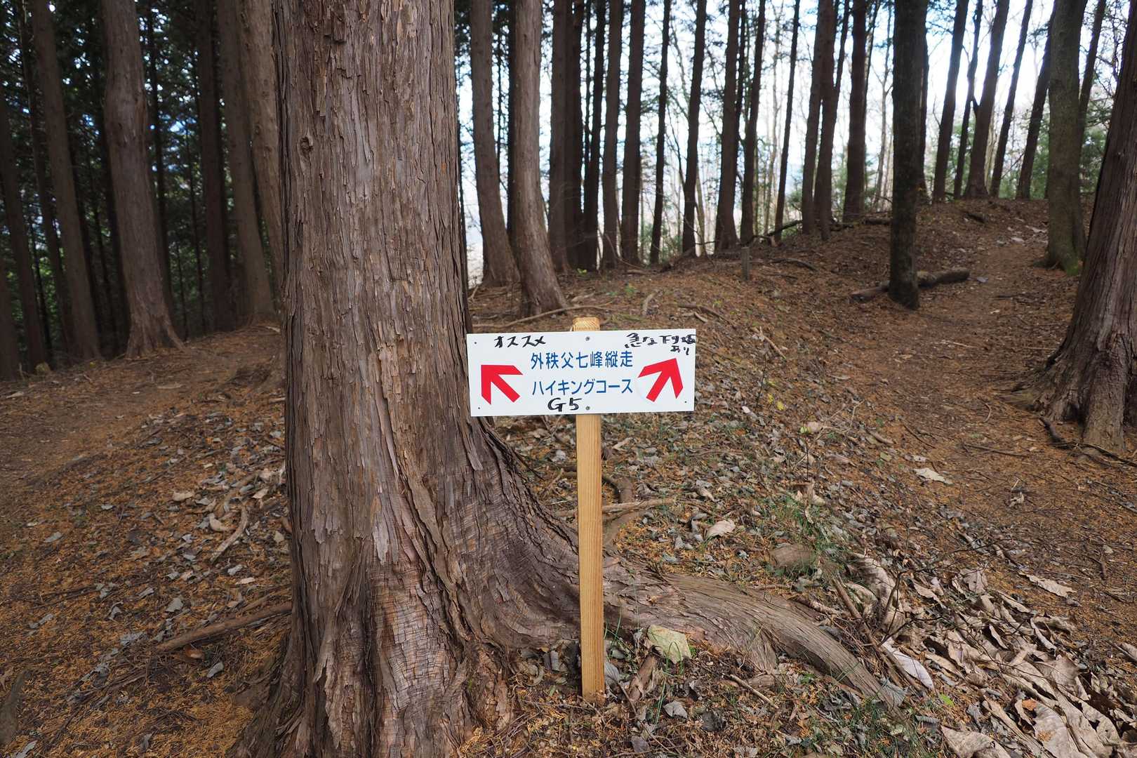 そりゃ、オススメにしますよね