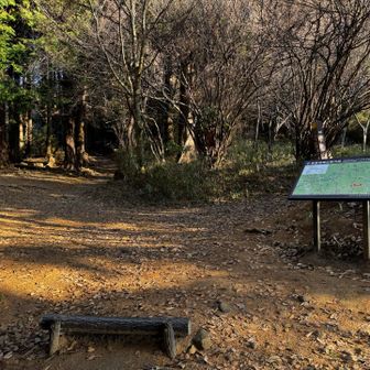 いつもの雨ケ峠