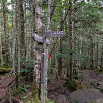 下山は一苦労
ゴロ岩が濡れて滑りますので慎重に
分岐を何度か超えて