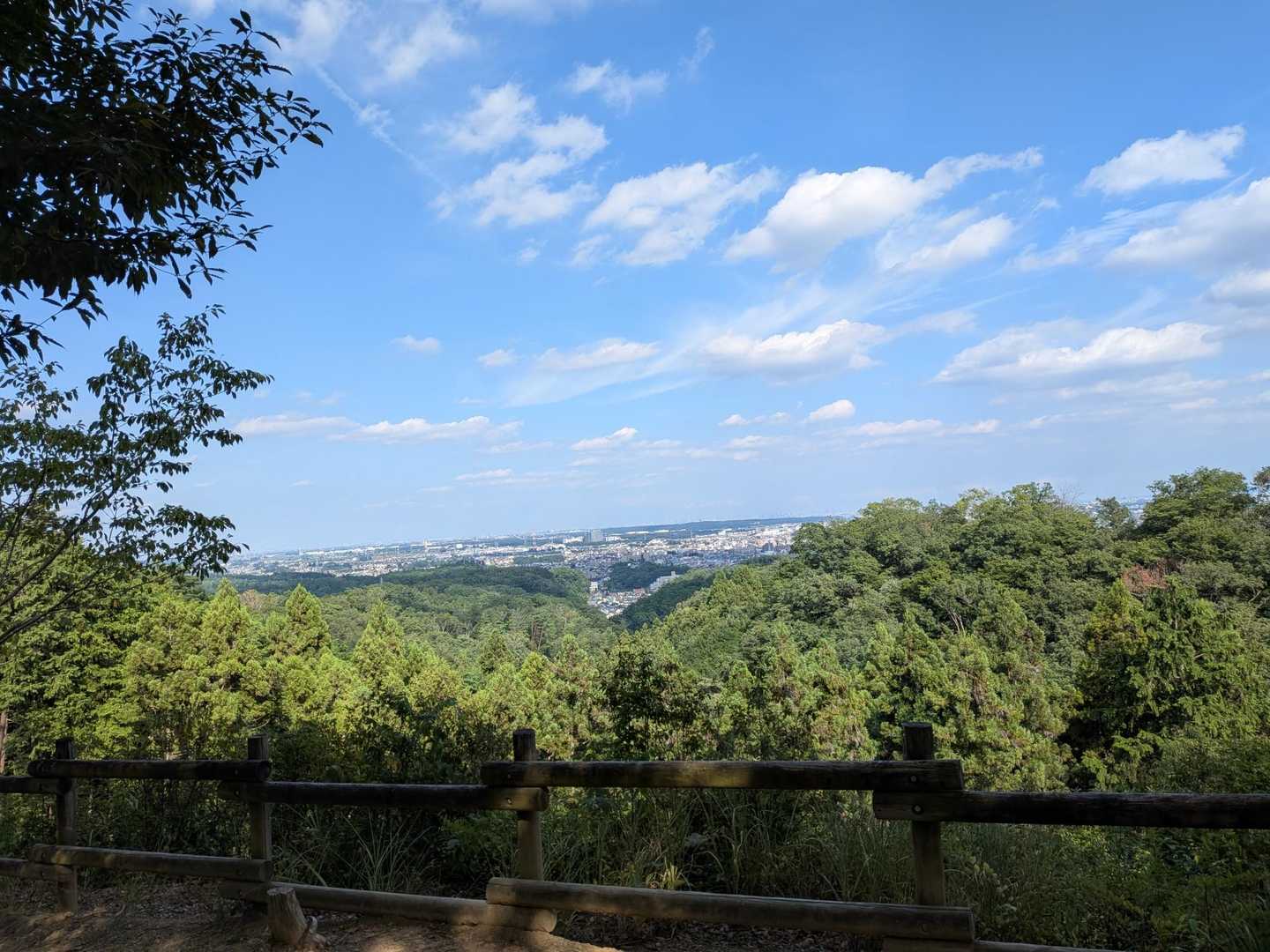 外気温32℃、山の中とは言っても標高は低いので少し歩いただけで大汗だ。装備は日傘と水筒。大きな声で言ったら怒られそうだけど普段着・サンダルでも大丈夫でした。（足の置き場に気を付ける練習のためのサンダルです。自己責任で消防も救急にも迷惑かけないように注意しました。）←必死の言い訳

気軽に天然サウナを小一時間楽しんでから、スーパーで買い物して夕飯の支度をする。こんな山の楽しみ方も良い。