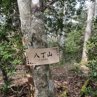何方か新しい山頂票付けてくれてました