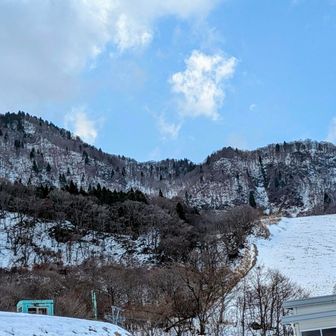 晴れてよかった

ヒヨコ愛する会の会長に
「マイコさんおもしろいですね」

って言われたけど

わたし、今の１０倍面白い人だったんです…
余裕がなくなると
人間、おもしろくなくなります。仕事、やめよっかなぁ（また、このボヤき）