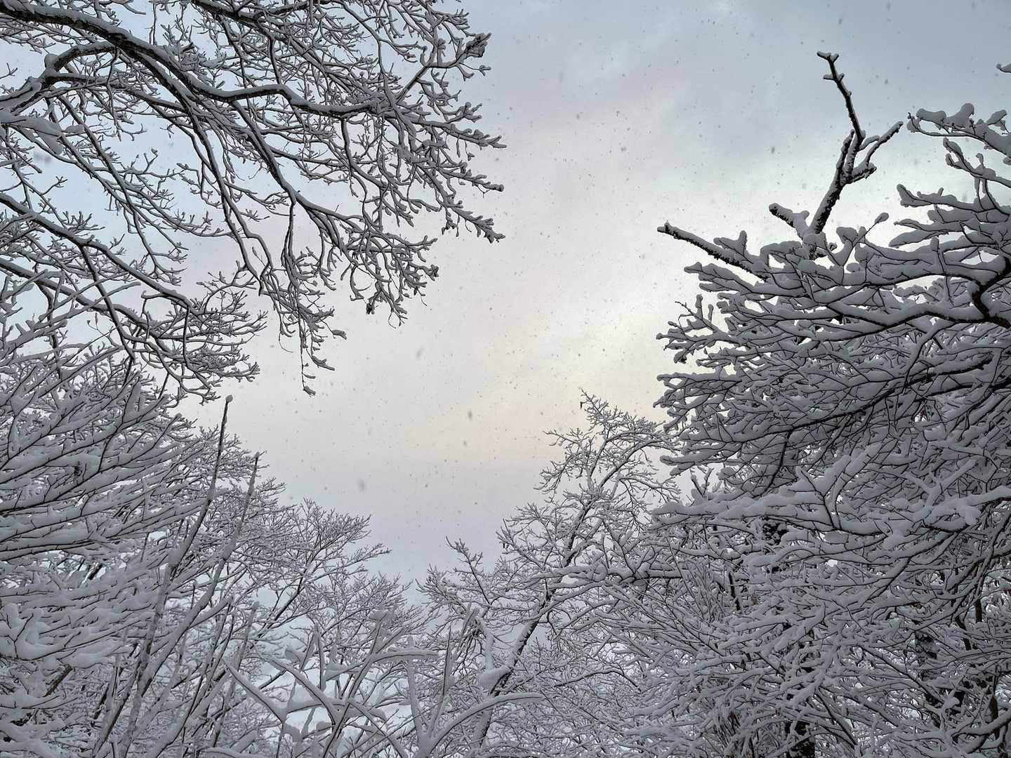 明るかったり、雪煙が舞ったり、