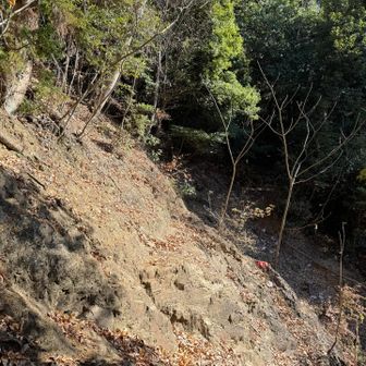 怖かった〜😱無事通過😅

通過に10分近くも掛かってるじゃないですか😰