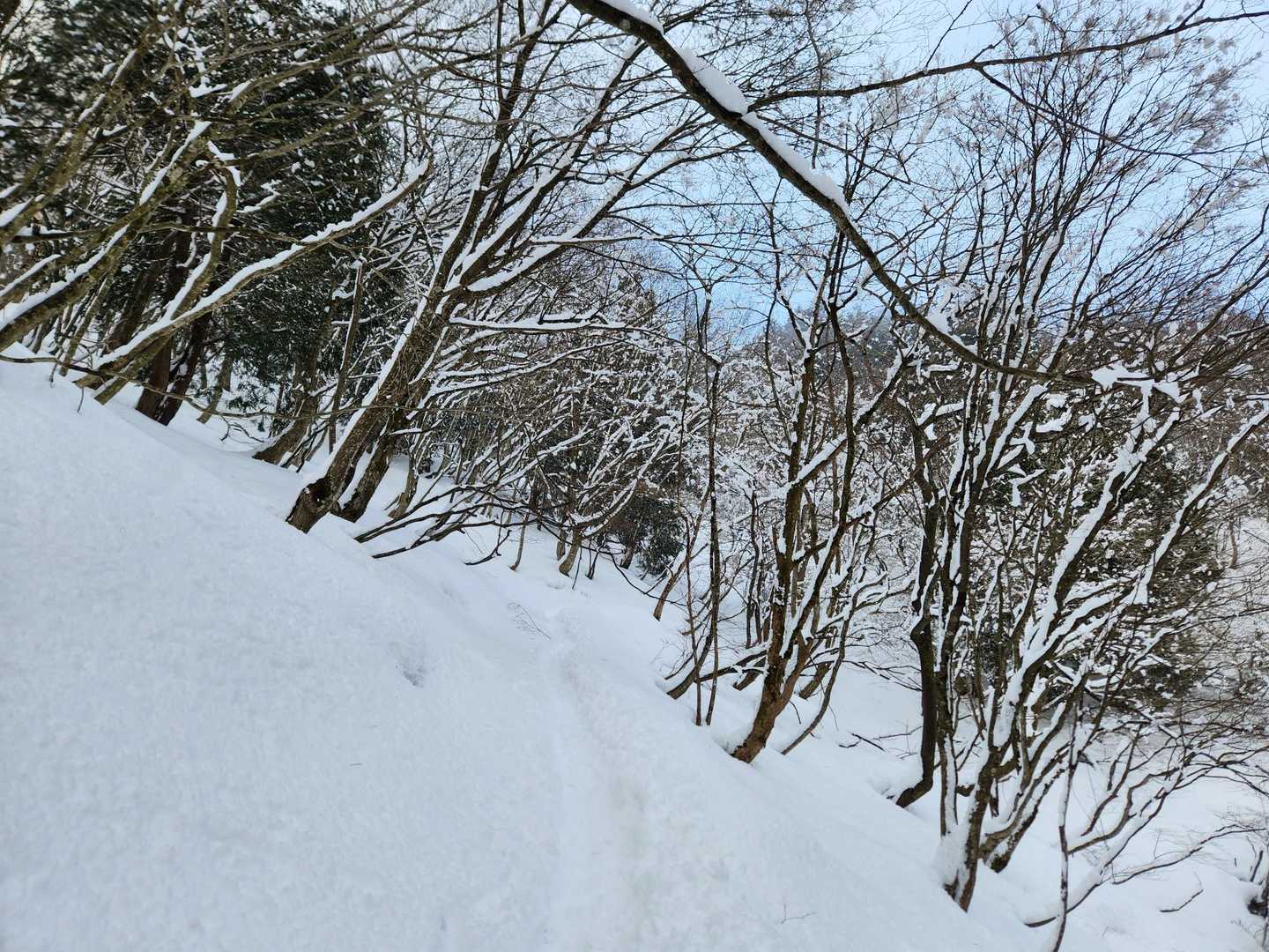 歩きやすい