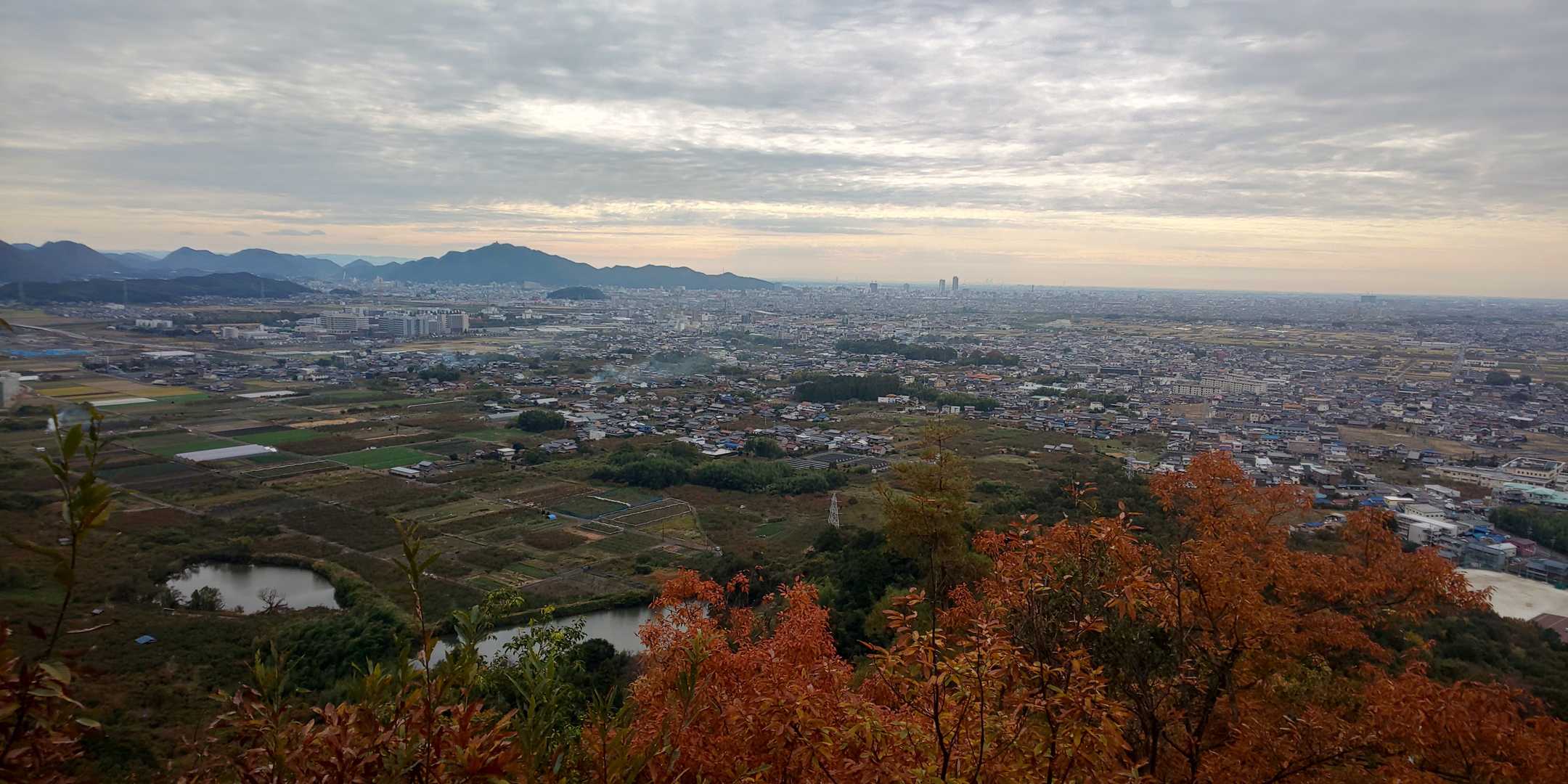 御望山 往復コースの写真