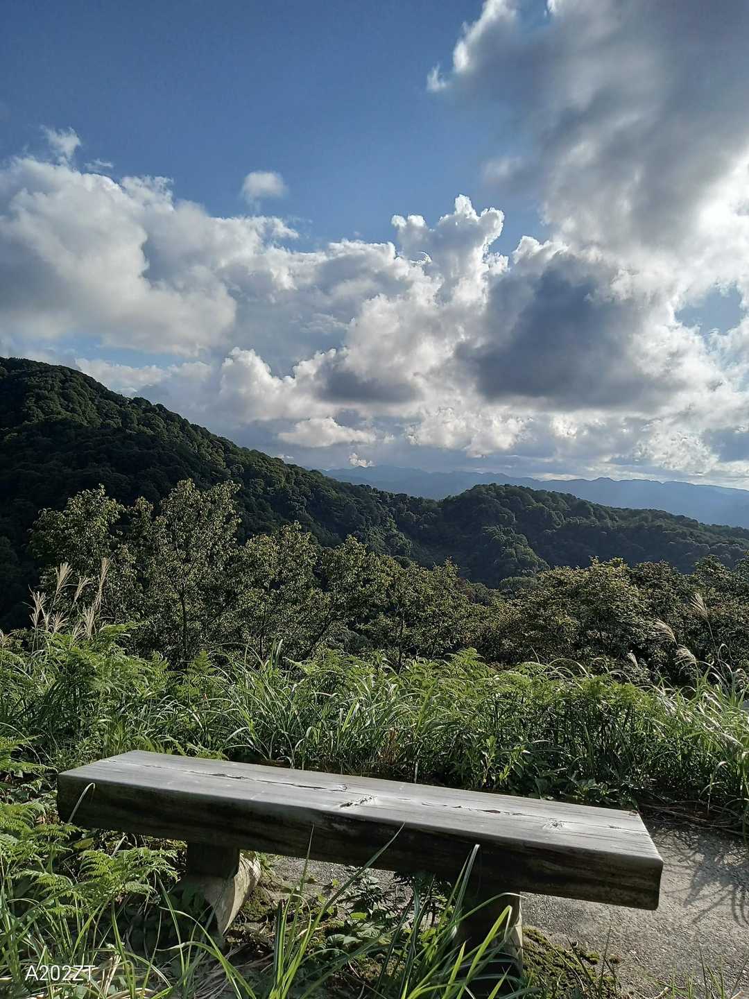 小原尾根の向こうは
中三方〜奥獅子吼の山々▲