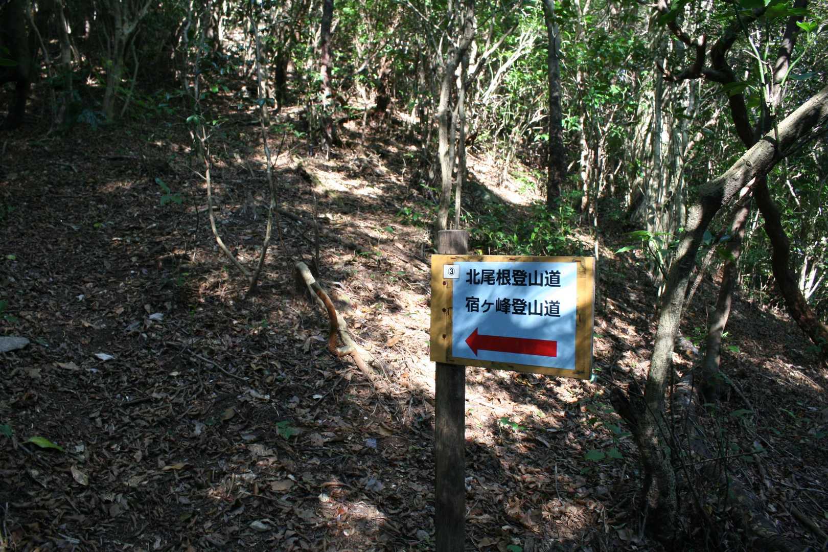 ここから北尾根登山道で三国山のほうへ行けるようです。