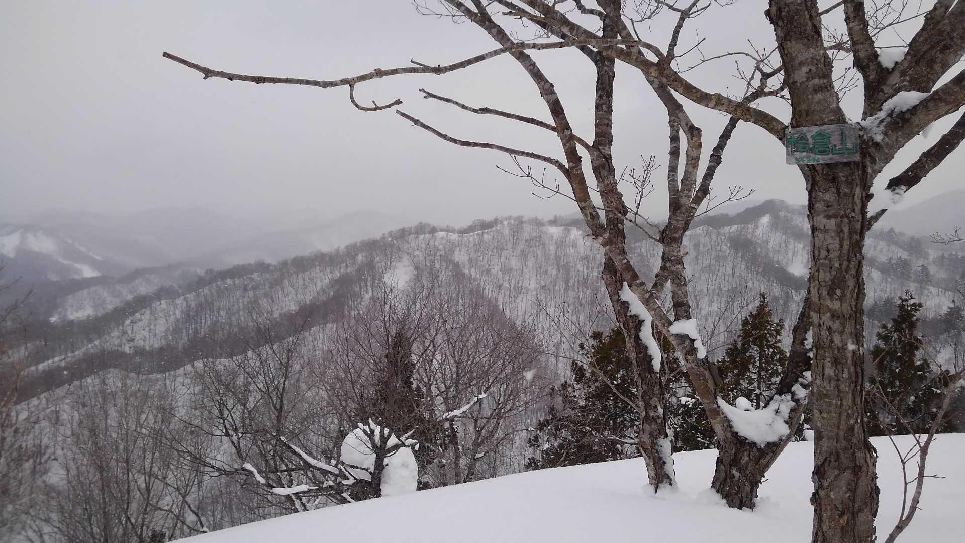 山頂＼(ﾟ∀ﾟ)／