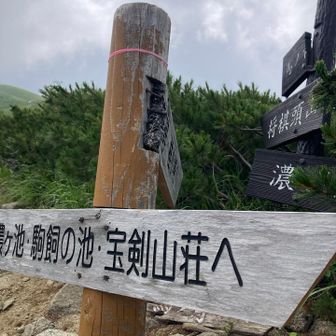 分岐まで戻りました。
ザックを預かってもらってる
西駒山荘まではあと一息。