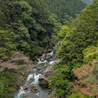 雲仙橋から見た景観。
紅葉の季節に、また絶対見に来るよ！
