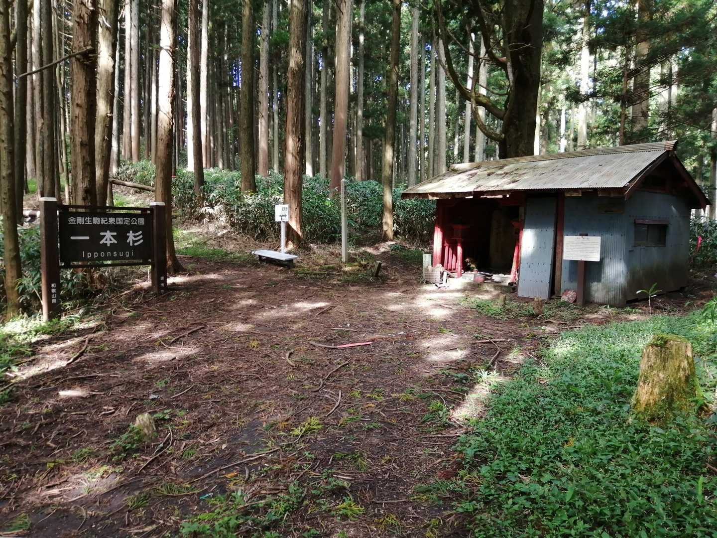 蔵王峠-南葛城山 往復コースの写真