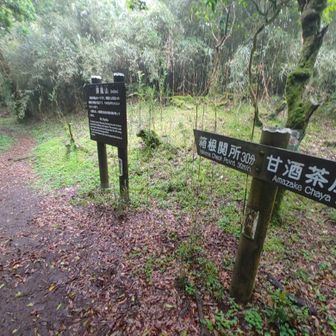 今日は🐛1匹しかおらず、道もグチャって無かった♪