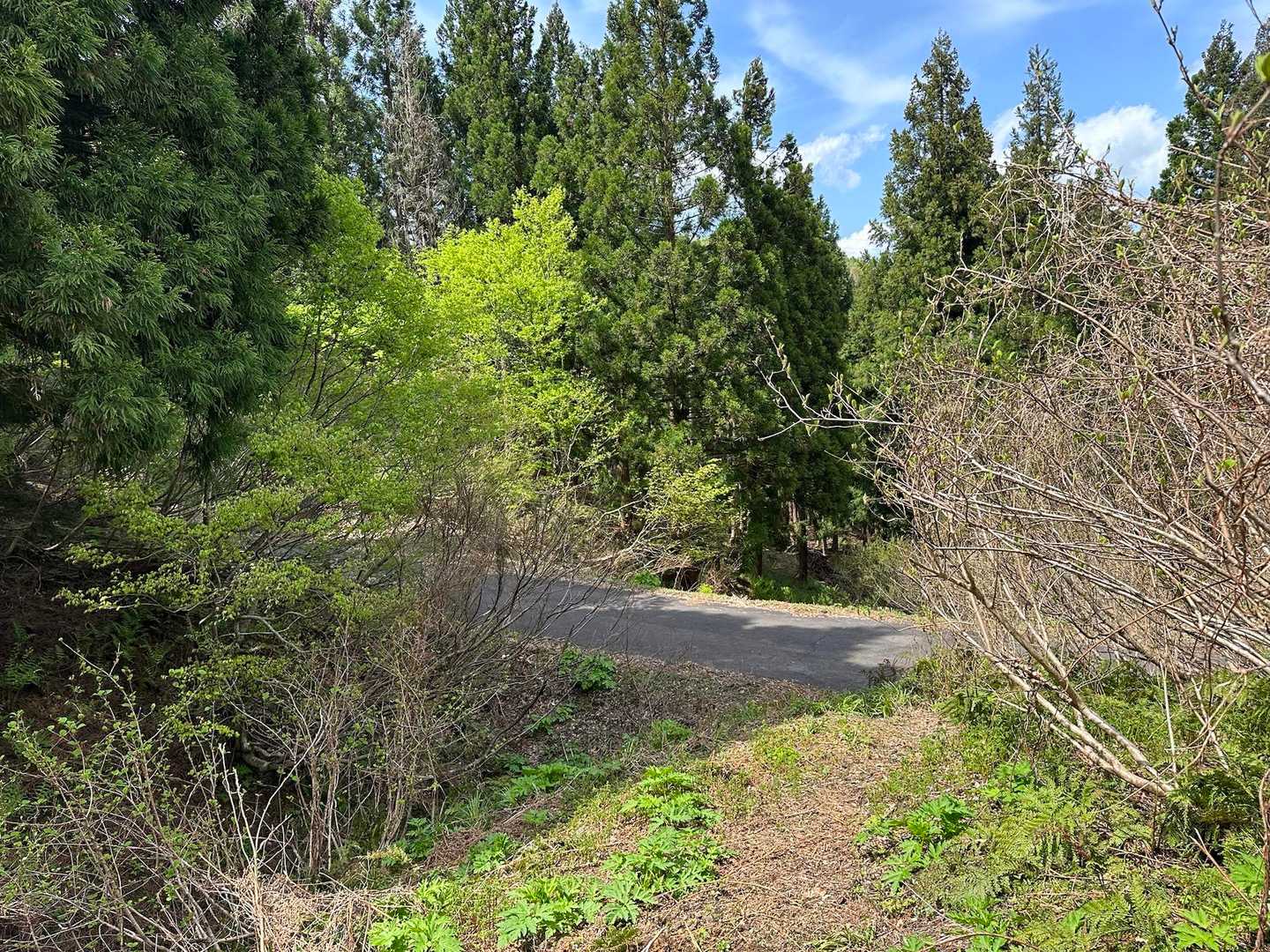 無事に下山🚶おつかれ山
