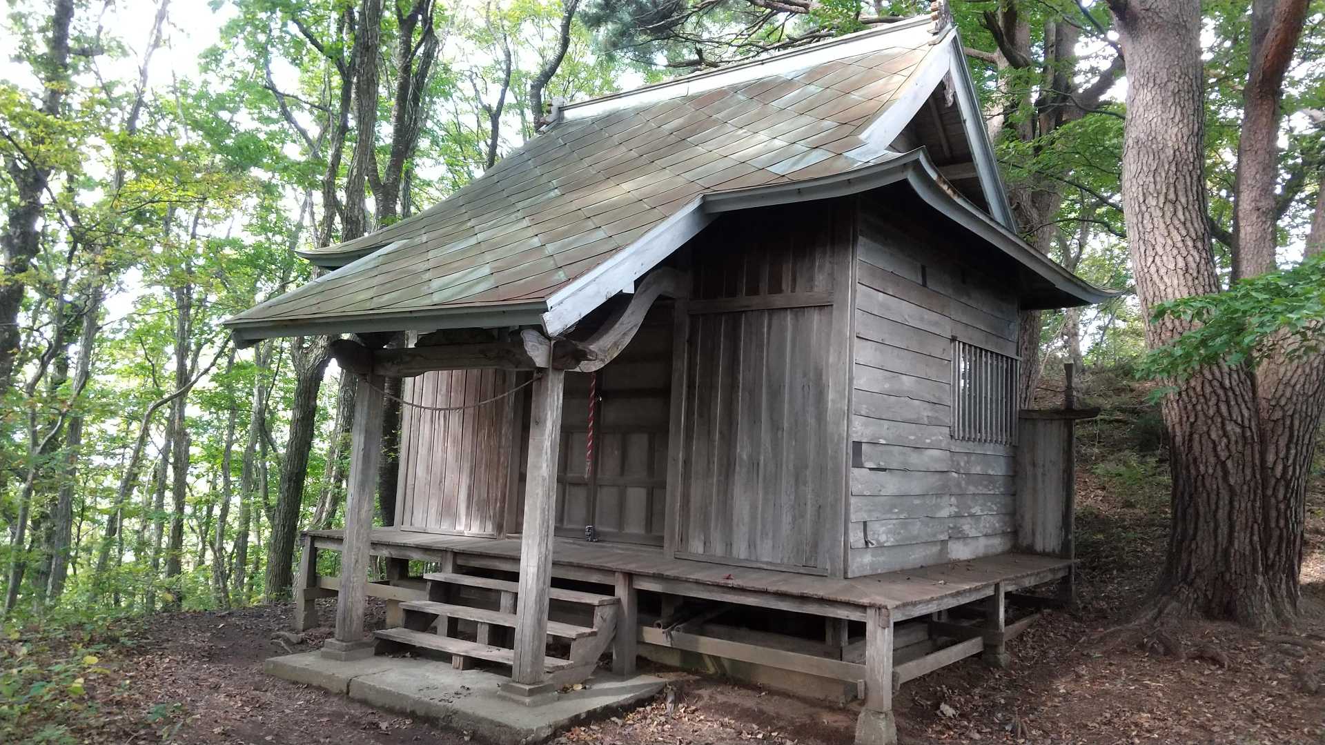 つくし森のお社⛩